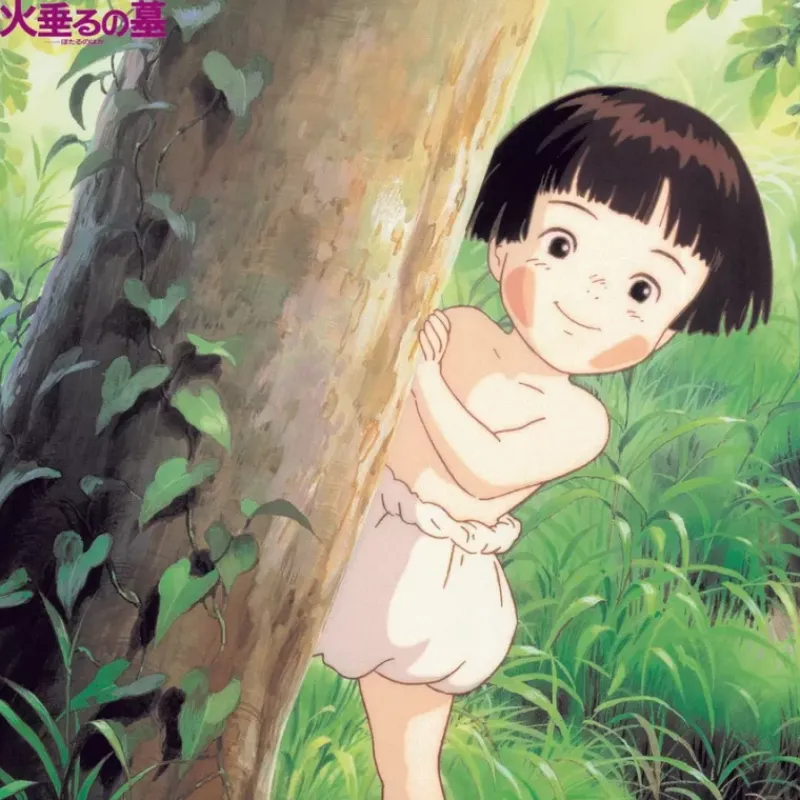 Maison Ghibli Soundtrack Limited edition LP - Grave of the Fireflies | Culture